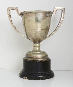 Assistant Professional Championship Cup
